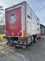 camion bétaillère SCANIA + remorque bétaillère